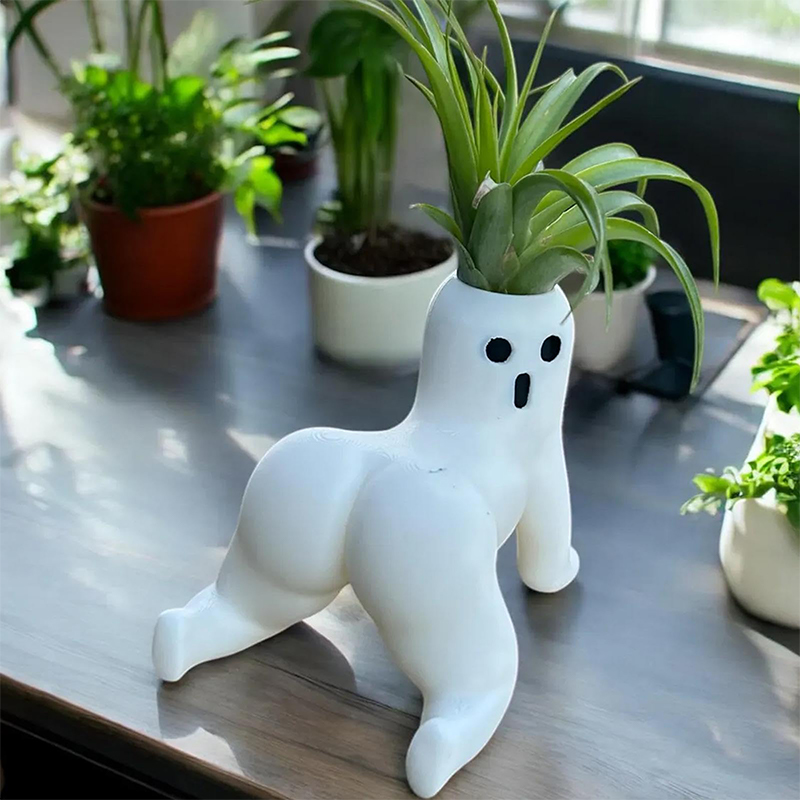 Echeveria Succulent - Funny Big Booty Ghost Planter Big