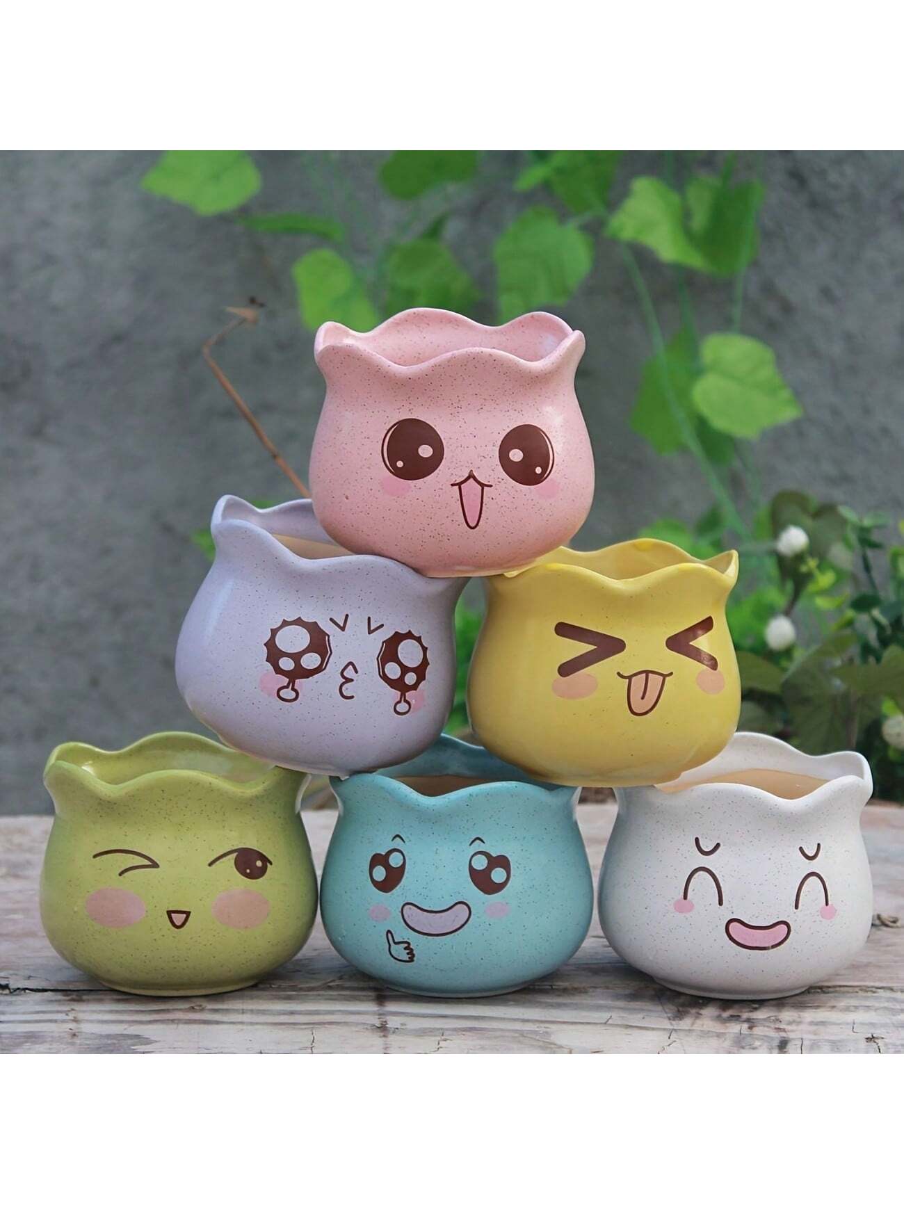 6pcs/set Cartoon Cute Ceramic  - Echeveria Succulent review and price