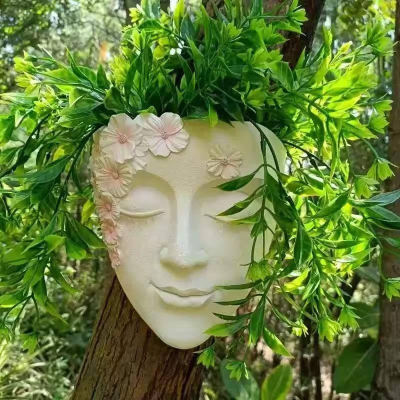 Creative Wall Mounted Facial F - Echeveria Succulent review and price